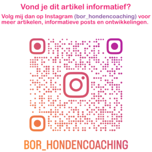 bor_hondencoaching Instagram follow